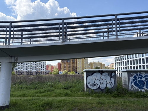 IMG_1812.jpeg