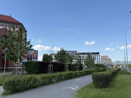 IMG_1813.jpeg