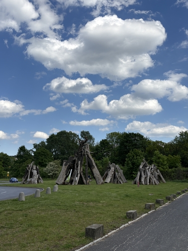 IMG_1816.jpeg