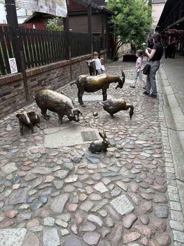 IMG_1920.jpeg
