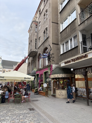 IMG_1923.jpeg