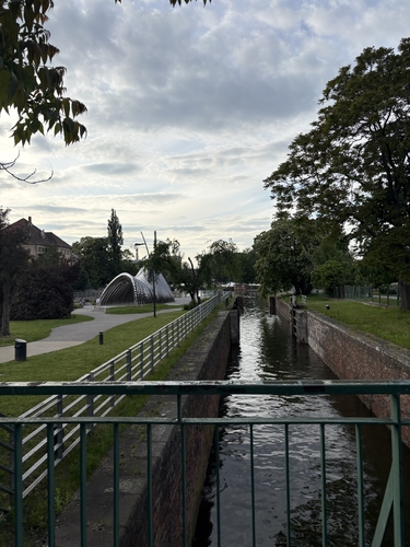 IMG_1952.jpeg