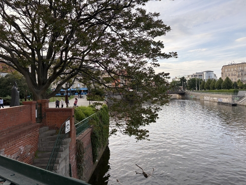 IMG_1960.jpeg