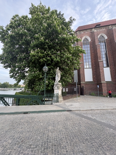 IMG_1962.jpeg