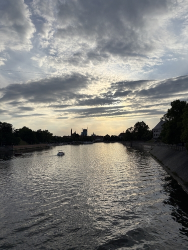 IMG_1982.jpeg